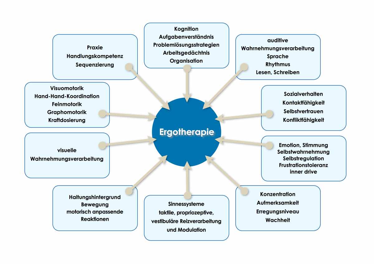 Grafische Darstellung zur Ergotherapie